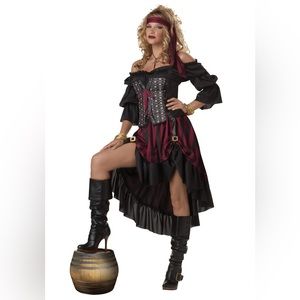 New Adult Women’s Pirate Wench Costume